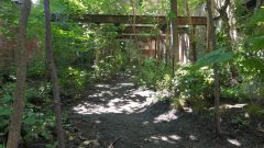 20210724_152948-scaled