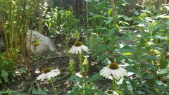 20210724_153430-scaled