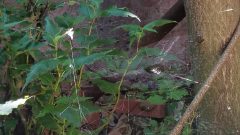20210724_153534-scaled