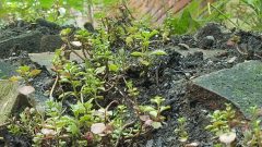 20210724_153858-scaled