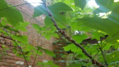 20210724_154040-scaled