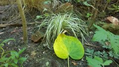 20210724_154100-scaled