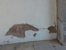 looks like a dog\'s head, right?
